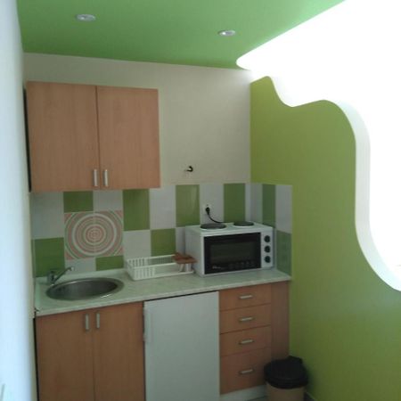 Studio Milojevic Sokobanja Εξωτερικό φωτογραφία