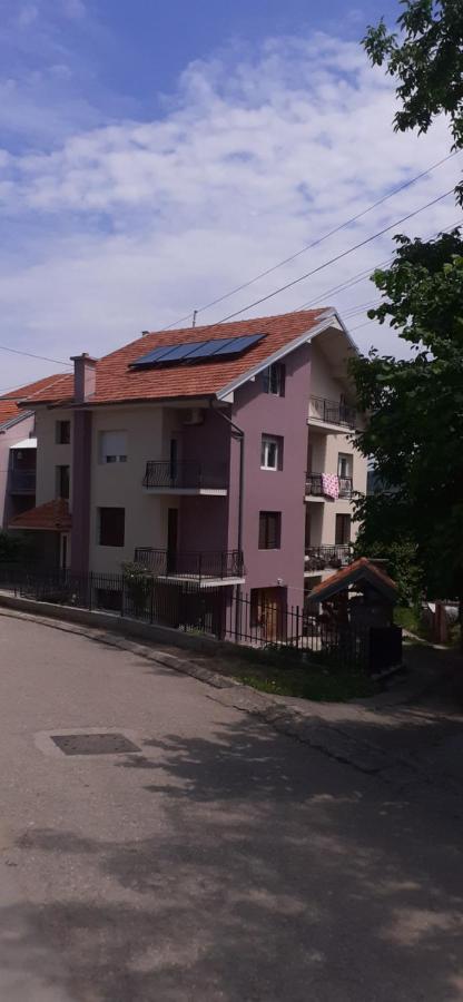 Studio Milojevic Sokobanja Εξωτερικό φωτογραφία