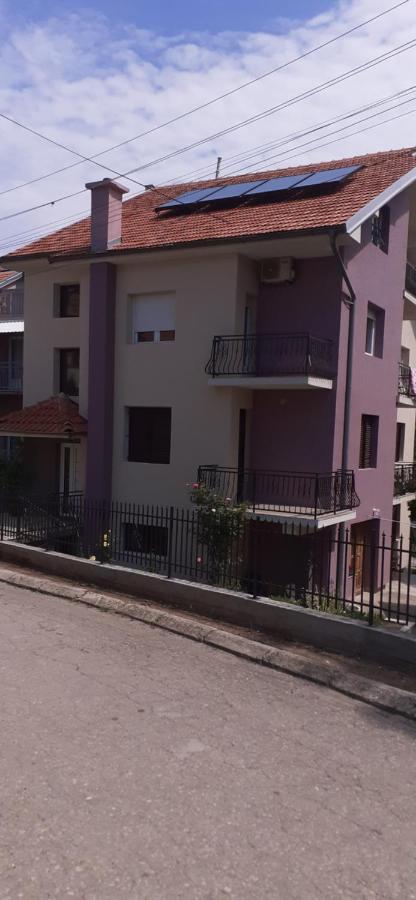 Studio Milojevic Sokobanja Εξωτερικό φωτογραφία